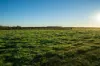 186 Ferngrove Road, Frankland River WA 6396-Image