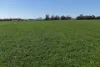 1865 Salt River Road, Cranbrook, WA 6321-Image