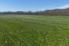 1865 Salt River Road, Cranbrook, WA 6321-Image