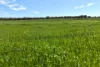 1865 Salt River Road, Cranbrook, WA 6321-Image