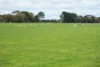 189 Estate Road, Caramut, Vic 3274-Image