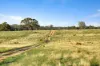 189 Lillicur Road, Amherst VIC 3371-Image