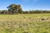 189 Lillicur Road, Amherst VIC 3371-Image