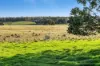 189 Lillicur Road, Amherst VIC 3371-Image