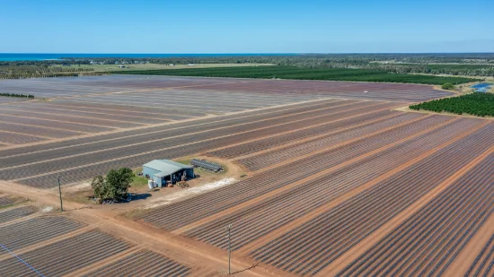 190 Riverview Road, Calavos QLD 4670-Image
