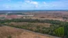 190 Riverview Road, Calavos QLD 4670-Image