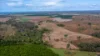 190 Riverview Road, Calavos QLD 4670-Image