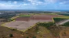 190 Riverview Road, Calavos QLD 4670-Image