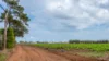 190 Riverview Road, Calavos QLD 4670-Image