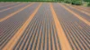 190 Riverview Road, Calavos QLD 4670-Image