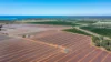 190 Riverview Road, Calavos QLD 4670-Image