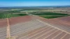 190 Riverview Road, Calavos QLD 4670-Image