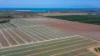 190 Riverview Road, Calavos QLD 4670-Image