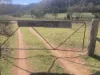 1950 FLAGGS ROAD, Gungal, NSW 2333