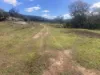 1950 FLAGGS ROAD, Gungal, NSW 2333-Image