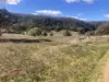 1950 FLAGGS ROAD, Gungal, NSW 2333-Image