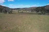 1950 FLAGGS ROAD, Gungal, NSW 2333-Image