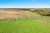 19563 Princes Highway, Kingston Se, SA 5275-Image