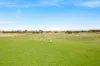 19563 Princes Highway, Kingston Se, SA 5275-Image