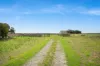19563 Princes Highway, Kingston Se, SA 5275-Image