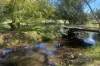 1974  Edi-Cheshunt Road, Cheshunt, Vic 3678-Image