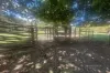 1974  Edi-Cheshunt Road, Cheshunt, Vic 3678-Image