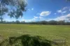 1974  Edi-Cheshunt Road, Cheshunt, Vic 3678-Image