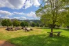 1984 & 2080 Ferguson Road (Wellington Mill), Ferguson, WA 6236-Image