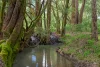 1984 & 2080 Ferguson Road (Wellington Mill), Ferguson, WA 6236-Image