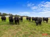 1990 Phillip Island Road, Cowes, Vic 3922-Image