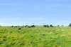 1994 Range Road, Goulburn, NSW 2580-Image