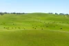 1994 Range Road, Goulburn, NSW 2580-Image