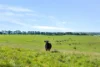 1994 Range Road, Goulburn, NSW 2580-Image
