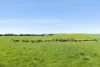 1994 Range Road, Goulburn, NSW 2580-Image