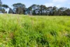 1994 Range Road, Goulburn, NSW 2580-Image