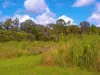 2, 71 Bartholdt Drive, Branyan, Qld 4670-Image