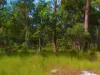 2, 71 Bartholdt Drive, Branyan, Qld 4670-Image