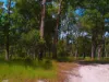 2, 71 Bartholdt Drive, Branyan, Qld 4670-Image