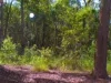 2, 71 Bartholdt Drive, Branyan, Qld 4670-Image