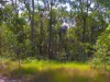 2, 71 Bartholdt Drive, Branyan, Qld 4670-Image