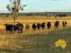 2, . Bridget Carroll Road, Kingaroy, Qld 4610