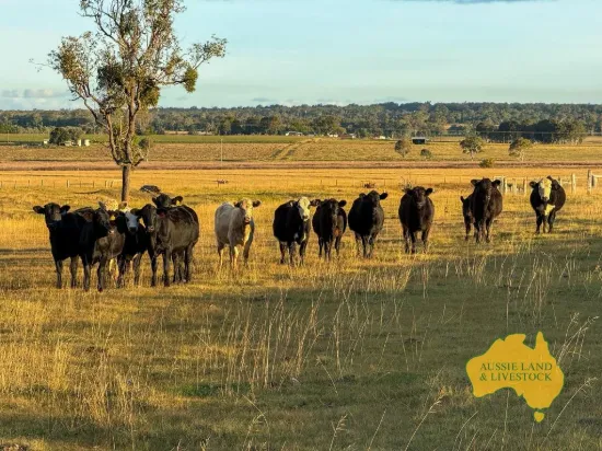 2, . Bridget Carroll Road, Kingaroy, Qld 4610