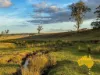 2, . Bridget Carroll Road, Kingaroy, Qld 4610-Image