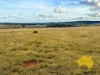 2, . Bridget Carroll Road, Kingaroy, Qld 4610-Image
