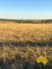 2, . Bridget Carroll Road, Kingaroy, Qld 4610-Image