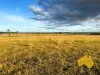 2, . Bridget Carroll Road, Kingaroy, Qld 4610-Image