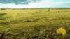 2, . Bridget Carroll Road, Kingaroy, Qld 4610-Image