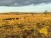 2, . Bridget Carroll Road, Kingaroy, Qld 4610-Image