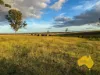 2, . Bridget Carroll Road, Kingaroy, Qld 4610-Image