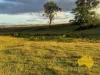 2, . Bridget Carroll Road, Kingaroy, Qld 4610-Image